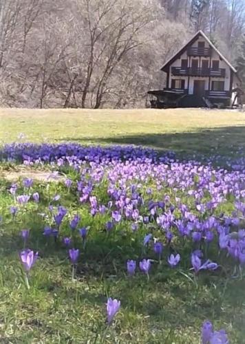 Cabana Satic Piatra Craiului La Doi viermi