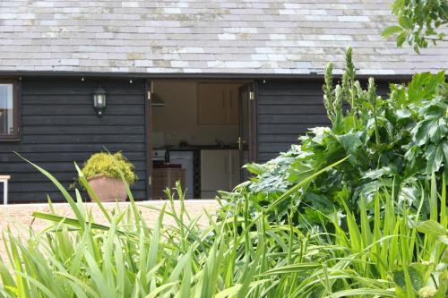 Five Cottages in AONB, Ashford (fotografie 10)