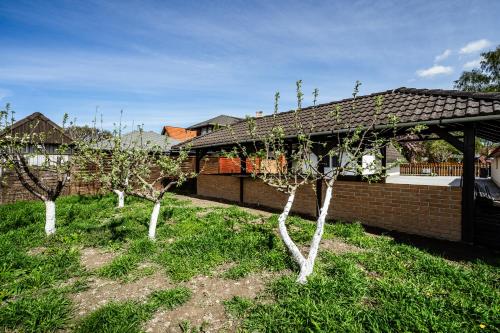 Kert, Alborella Vendégház (Alborella Vendeghaz) in Fadd - Dombori