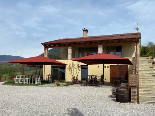 AZIENDA AGRICOLA CA' LUNGA in Cinto Euganeo