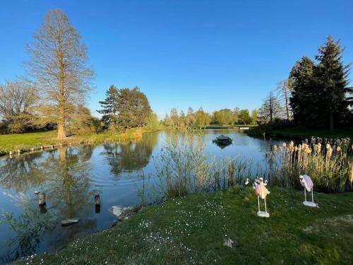 Gîte à la ferme, T2 Weppes - Location saisonnière - Pérenchies