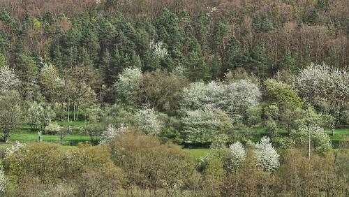 Kilátás, Ferienwohnung Monika in Hammelburg