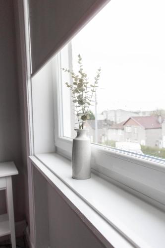 Castlemilk Apartment, Glasgow (photo 4)