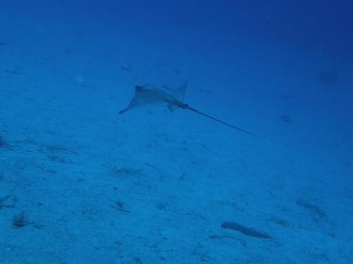 Hôtel Sant'Andrea The Originals Relais (Relais du Silence) - image 3