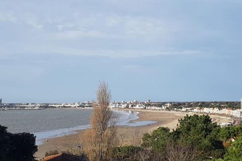 Ambiance bord de mer - Location saisonnière - Saint-Georges-de-Didonne