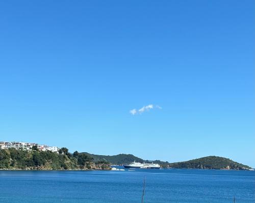 Studio with Balcony image 5
