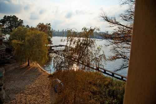 Seminar- und Gästehaus Flussbad Gartenstrasse - image 6