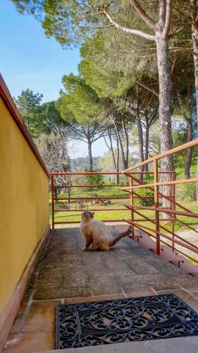 Agriturismo Podere le Tombe