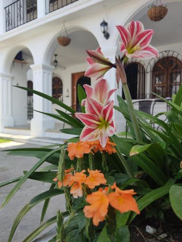 Blue Moon Hostel - image 3