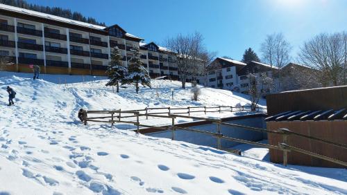 Berg-Juwel mit Pool und Sauna für Familien und Hunde ideal