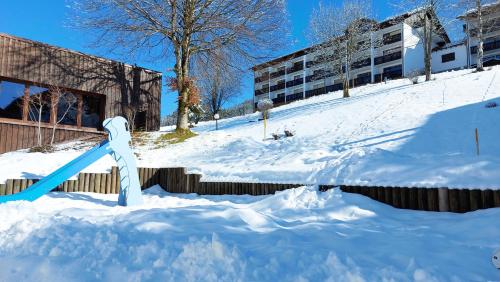 Berg-Juwel mit Pool und Sauna für Familien und Hunde ideal