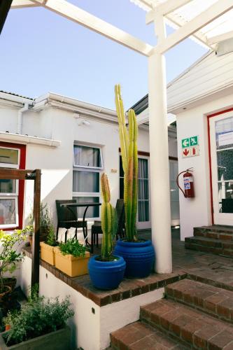 Buitenkant, Villa Viva Cape Town in Cape Town