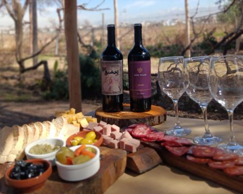 ห้องอาหาร, Entre racimos, glamping entre viñedos en bodega (Entre racimos, glamping entre vinedos en bodega) in ลูคัน เด กูโย