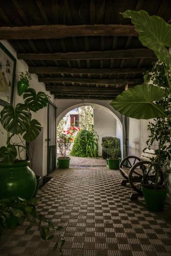 花園, Alojamientos Turisticos Biarritz in 福恩泰耶里多斯