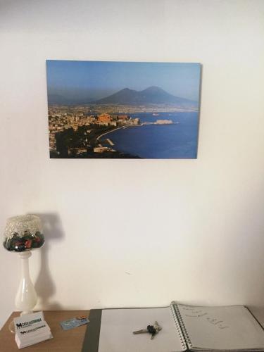 One-Bedroom Apartment image 10