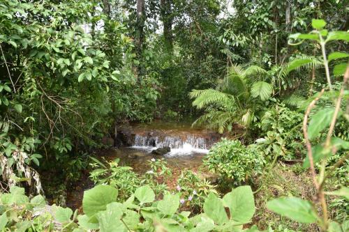 Kama Siri Koh Kood Kama Siri Koh Kood