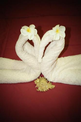 Kama Siri Koh Kood Kama Siri Koh Kood