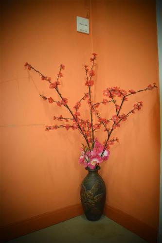 Kama Siri Koh Kood Kama Siri Koh Kood