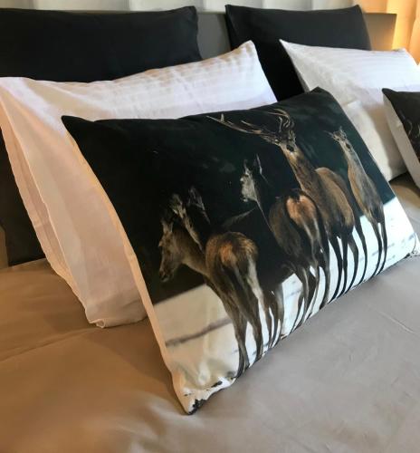1 king bed