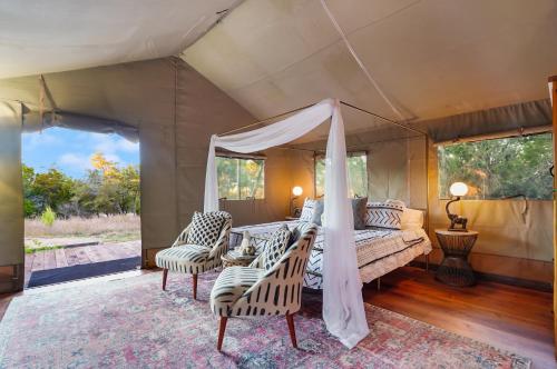 Hill Country Safari Tent and Recreational Pavilion and Cowboy Pool! in Dripping Springs, USA