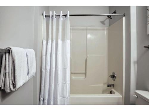 BOLD 2BR 2BA in the Block Apartment! - image 8