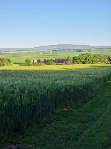 Jerusalem Farm Pods in Tranent