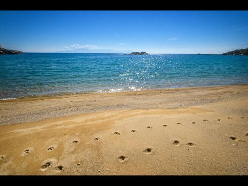 Seaside Stories Seaside Stories