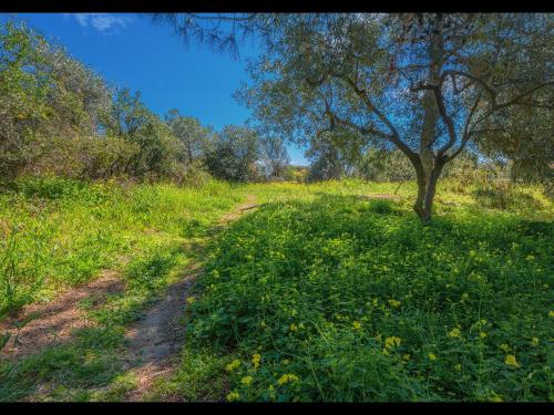 Seaside Stories Seaside Stories