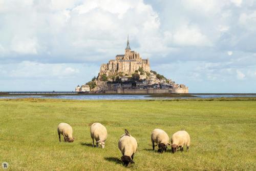 Vue unique sur le Mont St Michel - Location saisonnière - Huisnes-sur-Mer