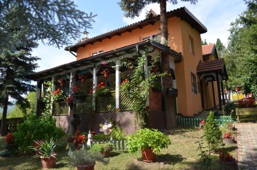 Holiday Home