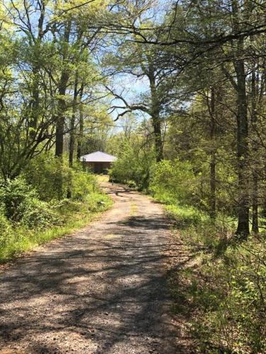 The Poets House, Luxury and Solitude on 100 acres in Lewisville, USA