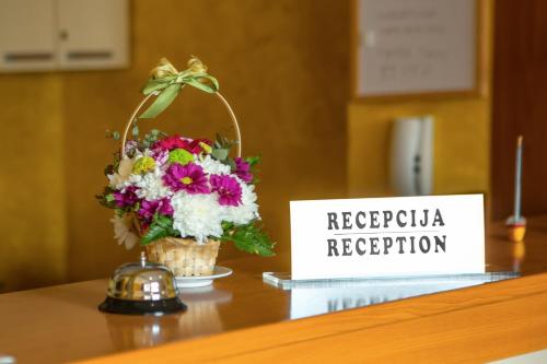 Apartments Ivona - image 2