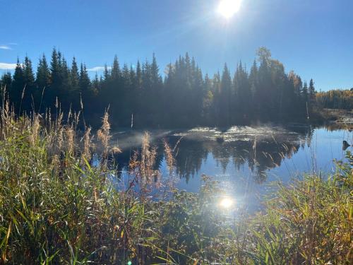 Le Gaston, chalet en campagne in Petit-Bégin (QC)