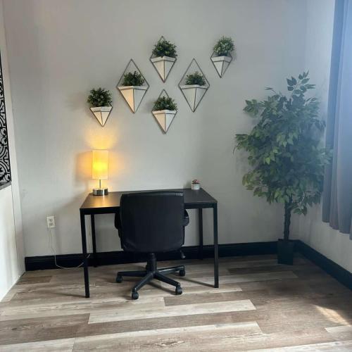 Studio Mins to STL Zoo W&D Parking Forest Park in Tower Grove, USA