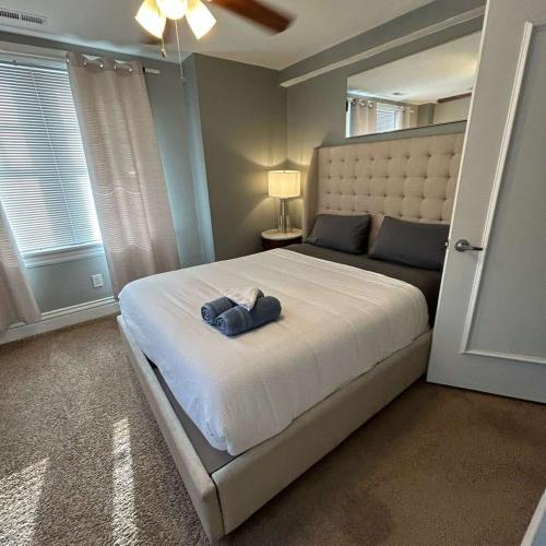 Cozy 1BR CWE near BJH STL Zoo in Tower Grove, USA