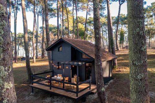 Pine Forest Comfort Cabin | 2 Bedrooms