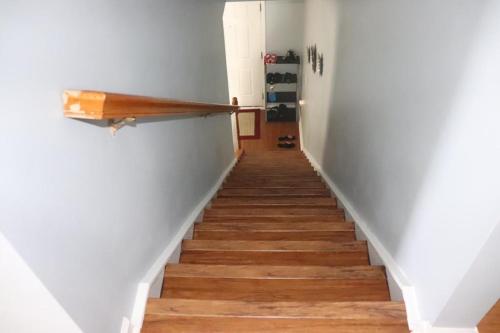 Safari Rooms in 康科德