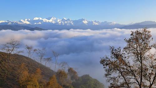 Rajpankchi Junglestay