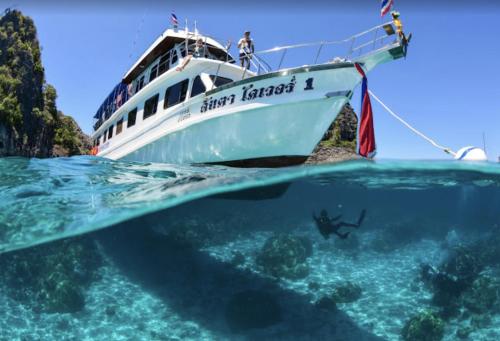 Sports and activities, Seaside Sanctuary Bungalows near Diamond Cliff Beach