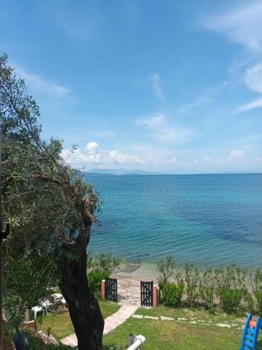 Villa Romantica Seafront