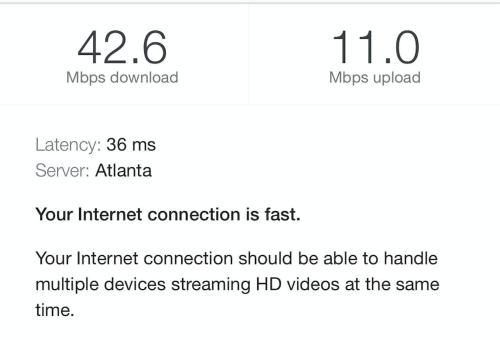 Large 1 BR carriage house in historic SPR - image 2