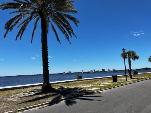 Modern 2 BR Condo - 2 block from San Marco - main image