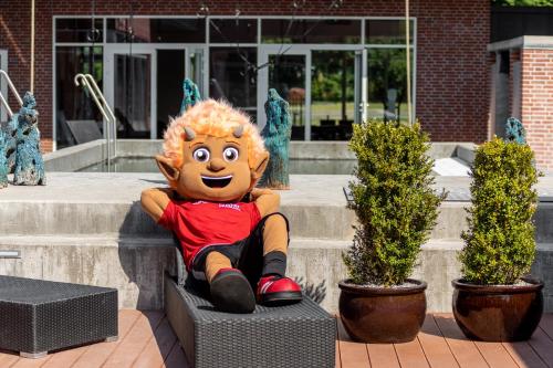 Danhostel Vejen Sport - image 4