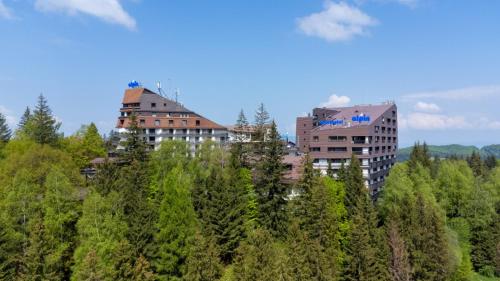 Alpin Resort Hotel - Accommodation - Poiana Brasov