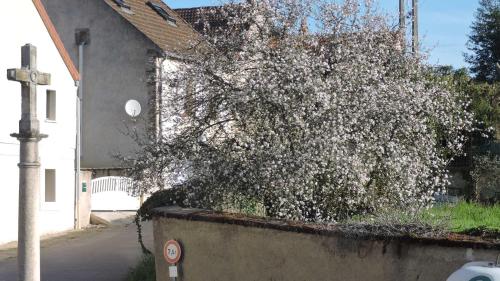 Le Vendangeur in ชาญี