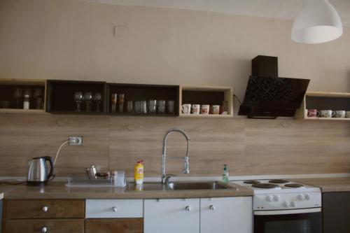 Sunny Center Apartment, Skopje (photo 8)