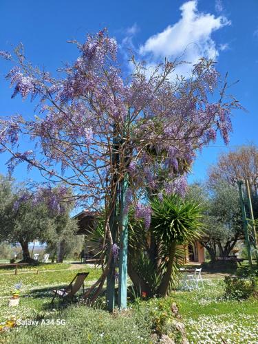 卡萨利生态农家乐