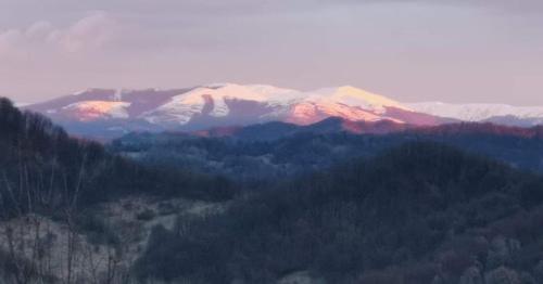 Cabanuta Fara Fite Cabanuta Fara Fite