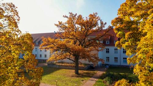 Parkresidenz Lychen, Ferienwohnung 3