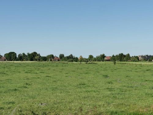 Ferienwohnung Ferienhaus Moorblick